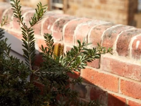 Grove balcony room, Wharfstone Hotel